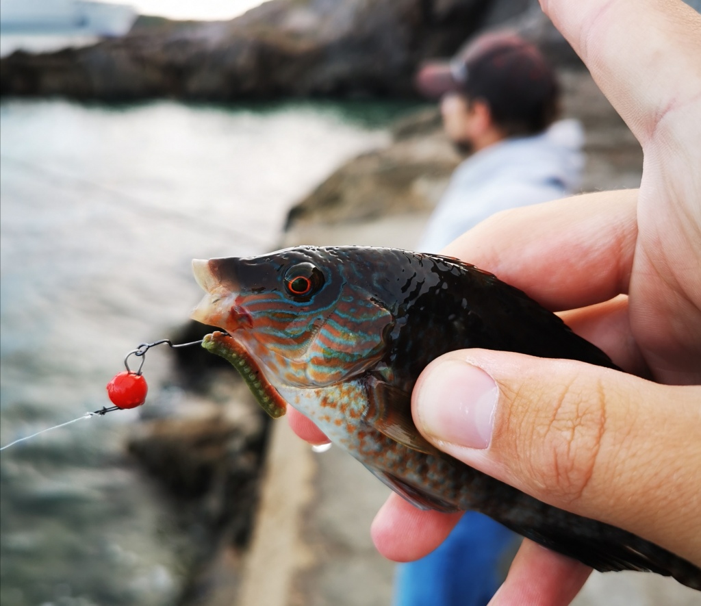 https://benbassettfishing.home.blog/wp-content/uploads/2020/03/img_20200309_205137.jpg?w=1024