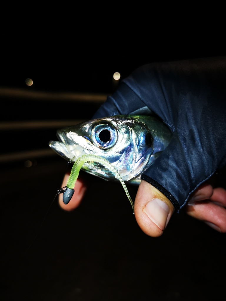 https://benbassettfishing.home.blog/wp-content/uploads/2021/07/img_20201018_223952.jpg?w=768