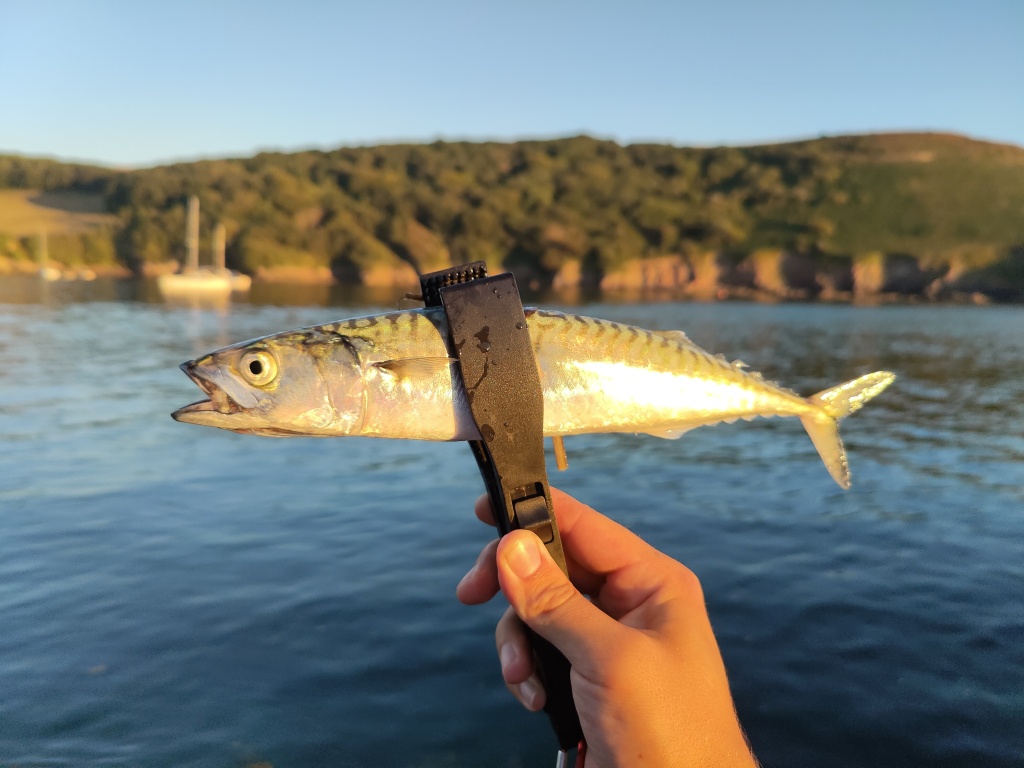 How And When To Use Fish Grips – Ben Bassett – LRF Blog