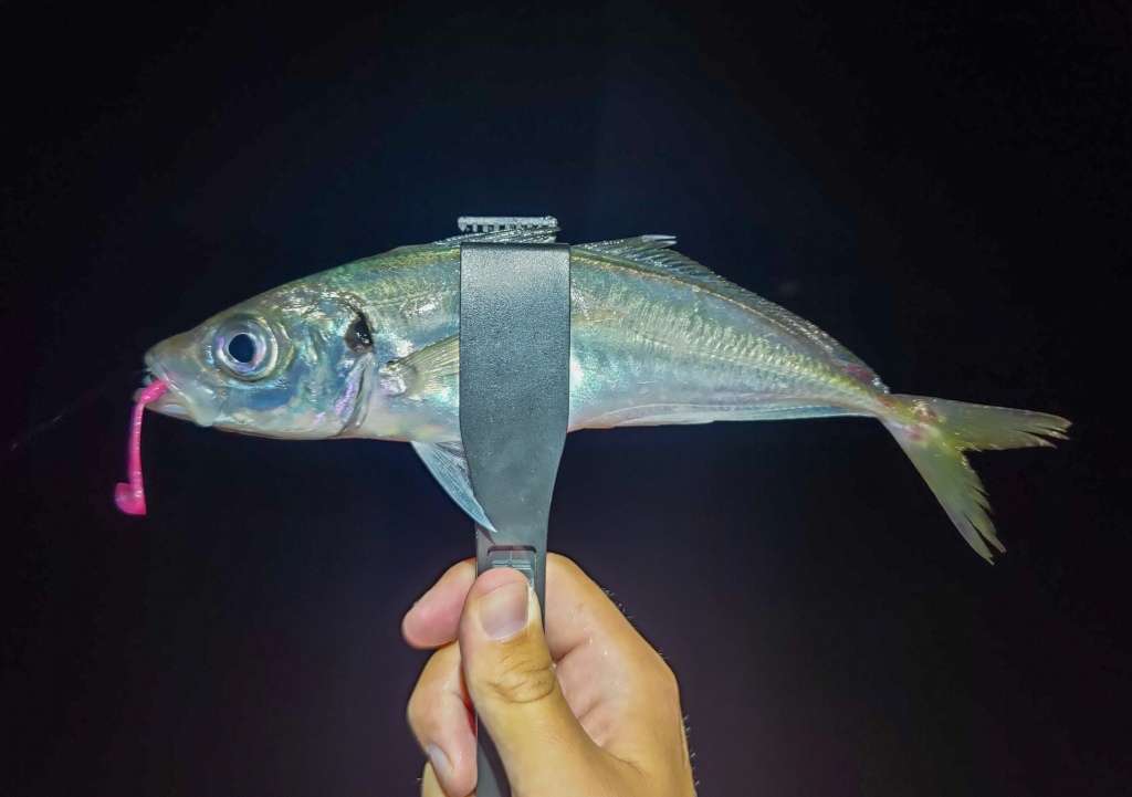 How And When To Use Fish Grips – Ben Bassett – LRF Blog