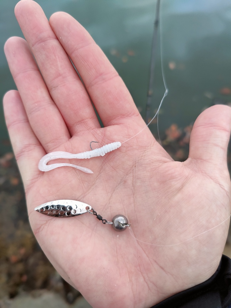 How To Tie A Snooded Dropshot Rig – Ben Bassett – LRF Blog
